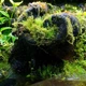 Підкладка Wacool Rainforest Plant Cotton XL 59х44 см WC-YZM001 для тераріума - зображення 6