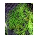 Підкладка Wacool Rainforest Plant Cotton XL 59х44 см WC-YZM001 для тераріума - зображення 9