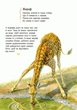 Детская Энциклопедия Про Животных Для Дошкольников (179787) - изображение 9