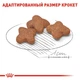 Сухий корм для собак Royal Canin Mini Adult 8+ 2 кг для собак малих розмірів вагою до 10 кг у віці від 8 років - зображення 4