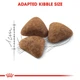 Сухой корм Royal Canin Indoor для котов от 1 до 7 лет живущих в помещении 10 кг (3182550706940) - изображение 2