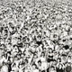 GEORGE MICHAEL – Listen Without Prejudice (LP, U.S.A.) - изображение 1