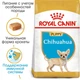 Сухий корм Royal Canin Chihuahua Puppy для цуценят чихухуа Купуй 1,2кг+300г у подарунок Royal Canin - изображение 1