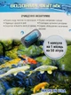 Препарат для очищення води в акваріумах Globioma Водойма ФізіТабс 1 капсула - изображение 3
