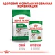 Royal Canin Mini Adult кусочки в соусе Влажный корм для взрослых собак мелких размеров весом взрослой собаки до 10 кг в возрасте от 10 месяцев до 12 лет Блок паучей 12 штук по 85 г - изображение 5