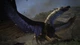 Ключ активації Steam | dragon's Dogma: Dark Arisen - зображення 10