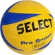 Мяч волейбольный Select Pro Smash Volley (5703543040292) - изображение 1