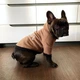 Худи для собак DogClub Brand XL Brown - изображение 2