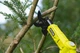 Сучкоріз-висоторіз Ryobi акумуляторний RY18PLA-0 18В ONE+ різ 32мм 3.8кг без АКБ та ЗП (5133004575) - изображение 5