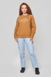 Свитшот Lee Crew Neck Sweatshirt Regular Fit (L53ATXSZ) Коричневый M-00 - изображение 1