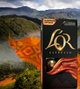 Набор кофе в капсулах L’OR Espresso Colombia 10 упаковок x 10 шт (100 капсул) совместимы с Nespresso 100% Арабика (8711000360774) - изображение 6