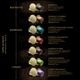 Набор кофе в капсулах L’OR Espresso Splendente 10 упаковок x 10 шт (100 капсул) совместимы с Nespresso 100% Арабика (8711000360149) - изображение 7