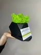 Подставка под телефон и визитки деревянная чёрная со стабилизированным мхом салатовый 12*8 см - изображение 1