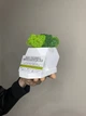 Подставка под телефон и визитки деревянная белая со стабилизированным мхом микс зелёный салатовый 12*8 см - изображение 4