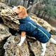 Жилетка для собак DogClub Snup XXL Blue - зображення 1