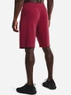Шорты хлопковые мужские Under Armour Ua Rival Terry Short 1361631-665 XXL Бордовые (195252522537) - изображение 2