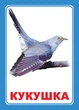 Набор двусторонних развивающих карточек "Звук Ш". Логопедические стишки на русском. 16 шт - изображение 2