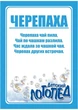 Набор двусторонних развивающих карточек "Звук Ч". Логопедические стишки на русском. 16 шт - изображение 3