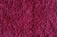 Килим з високим ворсом Loca 6365A pink 1.50x3.00 - зображення 3