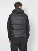 Теплый жилет мужской Thermalli Val Thorens 40880301 M Черный (5407001000360) - изображение 2