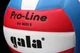 М'яч волейбольний Gala Pro-Line Mini - BV 4051 S - зображення 3