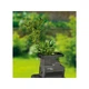 Измельчитель садовый роликовый Parkside PWH-2800-A1 2800 Вт - изображение 5