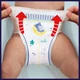 Підгузник нічні трусики Night Pants Розмір 6 (15+ Pampers (8006540234761) - зображення 8