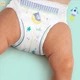 Підгузник нічні трусики Night Pants Розмір 6 (15+ Pampers (8006540234761) - зображення 10
