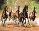 Картина за номерами Табун коней (BS8288) Brushme 40x50 см Brushme - зображення 1