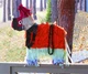 Піньята ослик Pinata CAPSBOARD (500003) - зображення 2