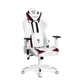 Геймерское кресло Diablo X-Ray Large Black/White - изображение 3