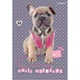 Тетрадь для нот А4 20 листов Kite Studio Pets SP21-404, 48470 - изображение 1