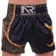 Шорти для тайського боксу та кікбоксингу Another Boxing Heroe 2345 розмір L (48-50) Black-Gold - зображення 2