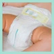 Подгузник Pampers Premium Care Junior Размер 5 (11-16 кг) 58 шт (8001841104997) - изображение 10