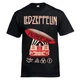 Футболка Talisman LED ZEPPELIN Mothership Черный XXL (FOL305) - изображение 1