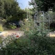 Опора для рослин арочно-кільцева 2800*600*600 - зображення 8