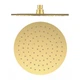 Верхній душ GRB Hydro d250 мм, Brashed Gold (00080057) - зображення 1