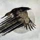 KATATONIA – Mnemosynean (2CD, EU) - изображение 1