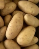 Картофель семенной (посадочный) Гранада. Среднеспелый, 1 репродукция 1 кг. Урожай 2022 года. - изображение 1