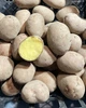 Картофель семенной (посадочный) Лабелла. Среднеранний, 1 репродукция 1 кг. Урожай 2022 года. - изображение 4