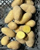 Картофель семенной (посадочный) Гранада. Среднеспелый, 1 репродукция 1 кг. Урожай 2022 года. - изображение 4