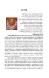 Молекулярна біологія - изображение 4