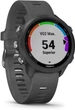 Спортивные часы Garmin Forerunner 245 Slate Gray (010-02120-00) - изображение 2