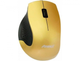 Мышь Aneex E-M656 Gold/Black USB (E-M656) - изображение 1