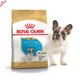 Royal Canin French Bulldog Puppy – корм для щенков французского бульдога от 2 до 12 месяцев, 10 кг (3990100) - изображение 1