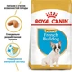 Royal Canin French Bulldog Puppy – корм для щенков французского бульдога от 2 до 12 месяцев, 10 кг (3990100) - изображение 2