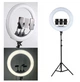 Кольцевая Лампа LED filling lamp 35 см на штативе (2,1м) + 3 держателя для телефона, лампа блогера, Лед лампа - изображение 3