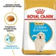 Сухий корм Royal Canin Golden Retriever Puppy - для цуценят голден ретрівера до 15 міс., 12 кг (39791201) - зображення 2