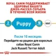 Сухой корм Royal Canin Jack Russell Terrier Puppy корм для щенков джек-рассел-терьера, 1.5 кг (21010151) - изображение 3