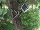 Гнучкий штатив (трипод) для телефона, GoPro, камери, фотоапарата Alitek Flexible M (62033) - зображення 10